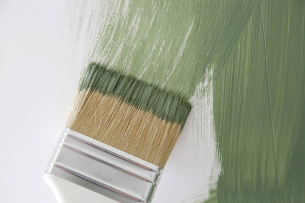 Best Basement Mold Removal  in Lisbon, ND