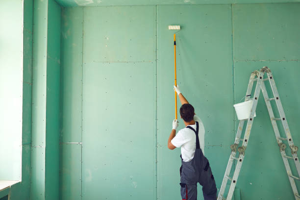 Best Black Mold Removal  in Lisbon, ND