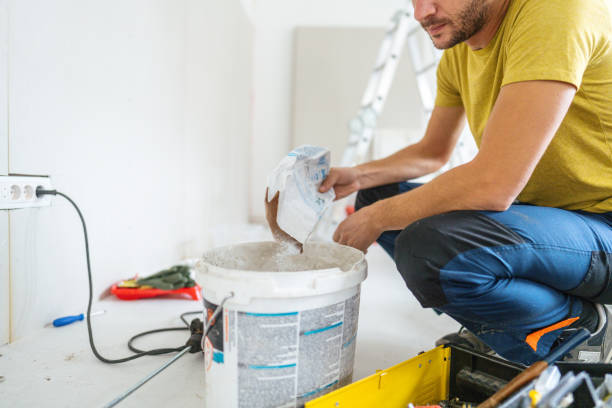 Best Attic Mold Removal  in Lisbon, ND