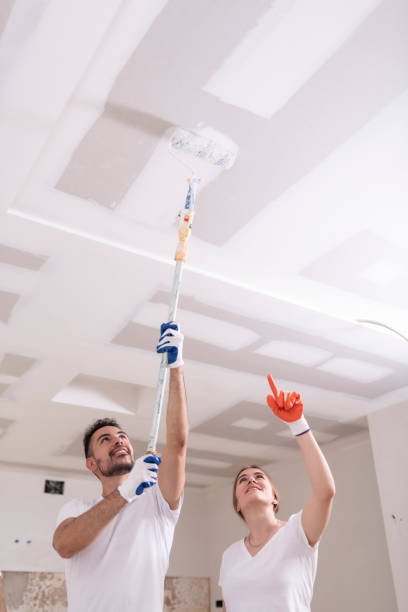 Best HVAC Mold Inspection and Cleaning  in Lisbon, ND