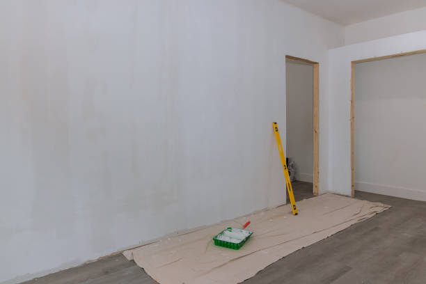 Best Emergency Mold Remediation  in Lisbon, ND