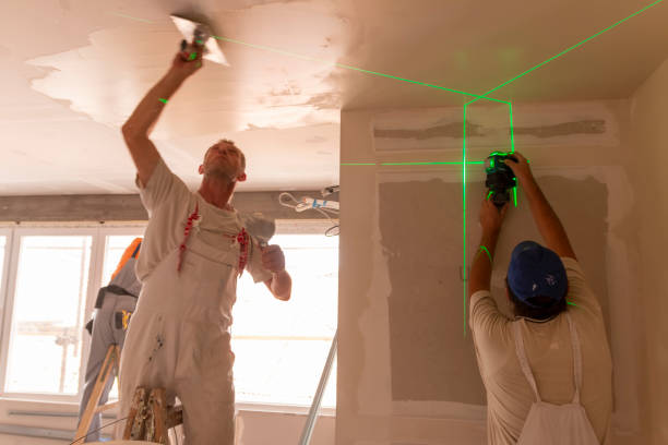 Best Real Estate Mold Inspection  in Lisbon, ND