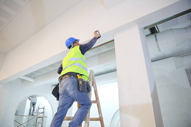 Best Water Damage & Mold Remediation  in Lisbon, ND