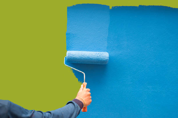 Professional Mold Removal in Lisbon, ND